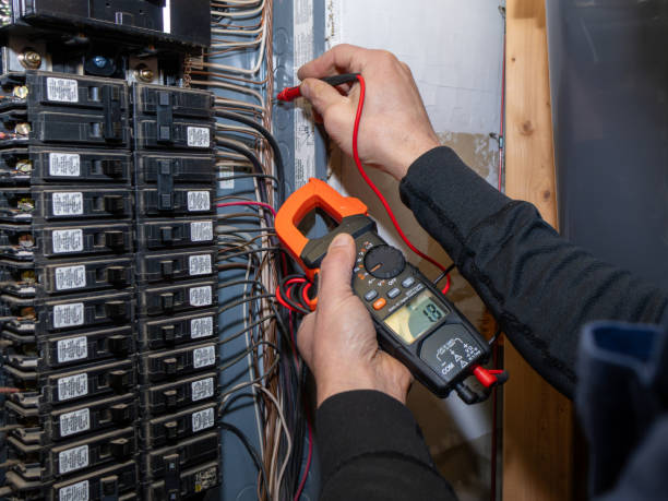 Best Electric Panel Repair  in Rosemount, OH
